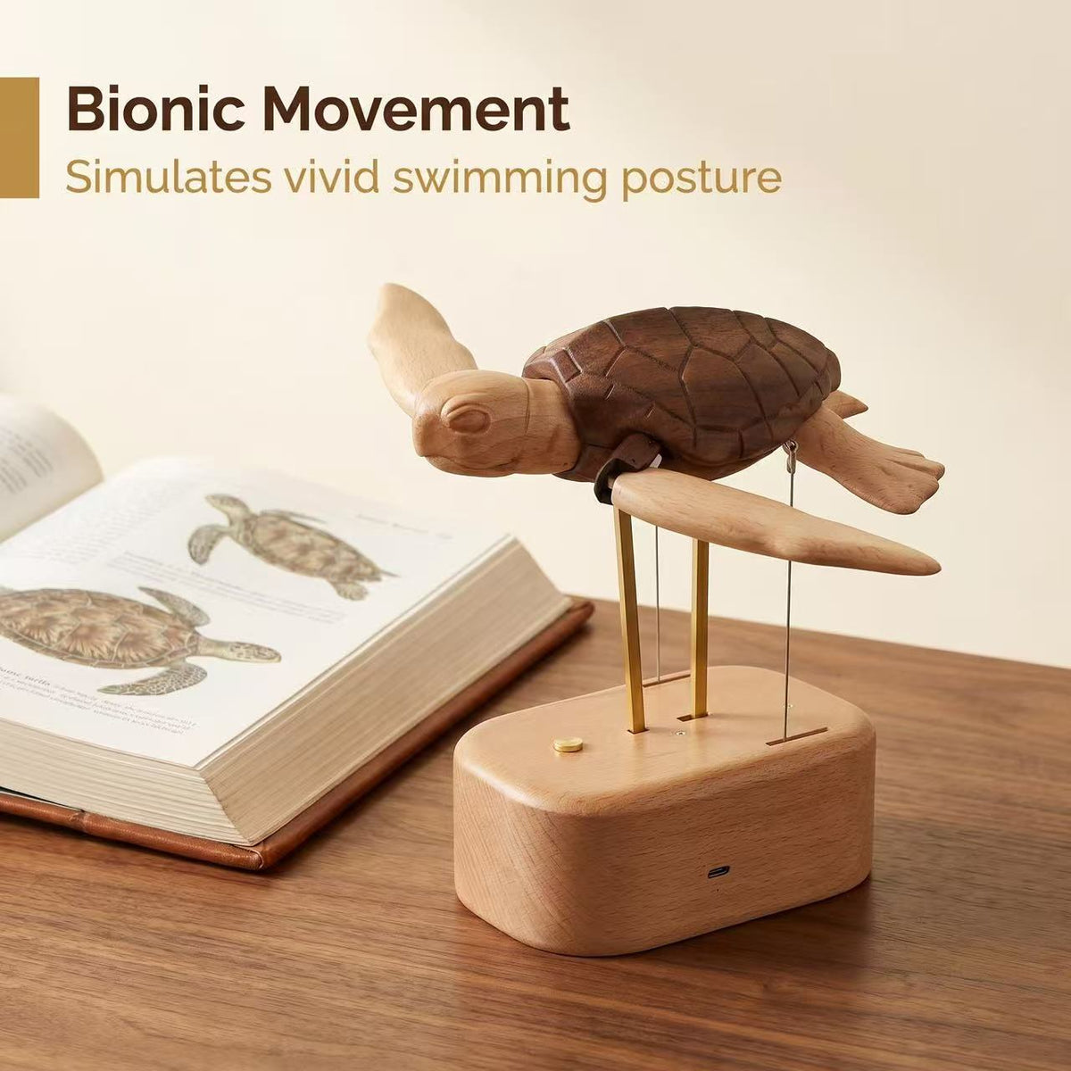 Handcrafted Wooden Sea Turtle Automaton | Kinetic Ocean Art & Moving Desk Decor